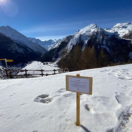 Hotel Belvedere Cogne Bagian luar foto